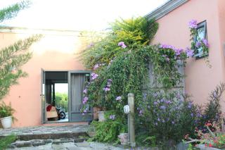 Gite des Acacias - 3