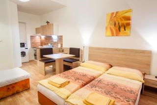 Apartmány - Penzion Smetanka - České Budějovice - 6