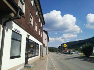 Rosen Garten Haus - Titisee-Neustadt - 8