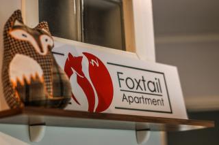 Foxtail Apartment - Rovaniemi - 4