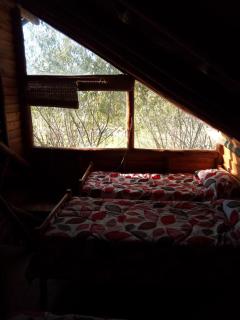 Cabañas Manantiales de Obligado - San Pedro - 6