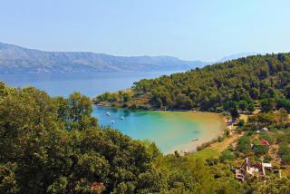 Apartments by the sea Postira, Brac - 16092 - Postira - 6