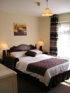 Mountain View Guesthouse - Oughterard - 7