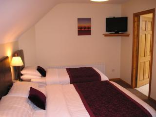 Mountain View Guesthouse - Oughterard - 2