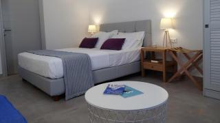 My Chorio Mykonos Country Summer House - Platis Yialos Mykonos - 7
