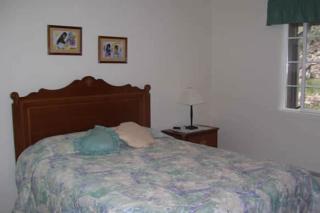 Quiet in the Pines - Permit #3120 - 7