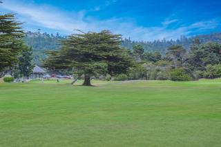 Meadow House - Sea Ranch - 2