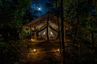 Tiger Tops Tharu Lodge - 2