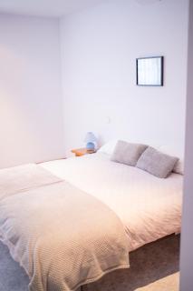 El Pico de Santillana - 2