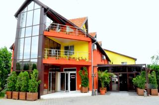 Hotel Andrei - Câmpia Turzii - 0