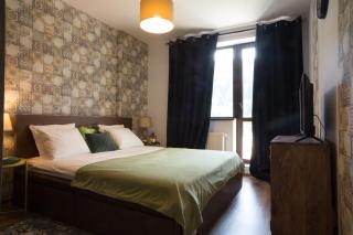 Cozy Apartments - Sinaia - 2