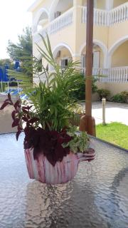 Anastasias House - 2