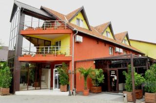 Hotel Andrei - Câmpia Turzii - 9