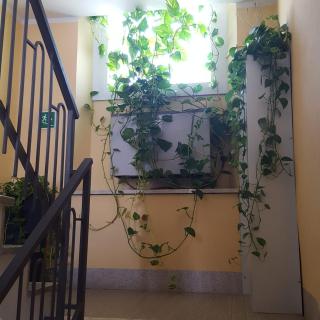 Hotel Calaluna - Biella - 7