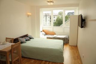 Apartment Druskonis - Druskininkai - 9