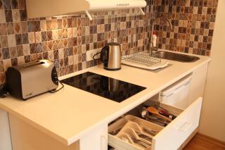 Apartment Druskonis - Druskininkai - 5