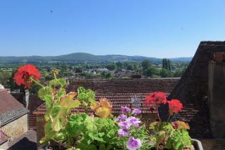Rue Bertrand de Got - Saint-Cyprien - 3