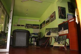 Wilpattu Dolosmahe - Wilpattu - 6