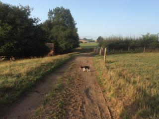 The Rear of the Plough,Everdon. - Daventry - 7