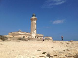 Lampedusa rosamarina - Lampedusa - 4