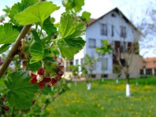 Stupina - Brasov - 7