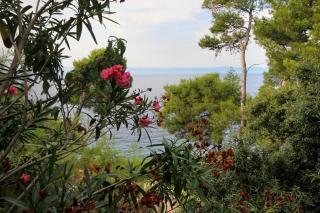 Apartments by the sea Prigradica, Korcula - 9141 - Blato - 1
