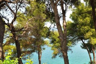 Apartments by the sea Slatine, Ciovo - 12491 - 4