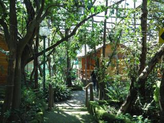 Residence Villaggio Verde - Sorrento - 1