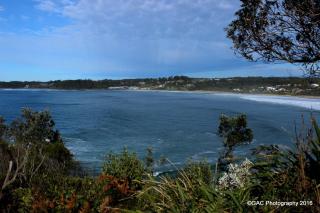 Mollymook Cove Apartments - 9