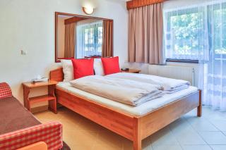 Hotel Pension Residence - Ramsau am Dachstein - 9
