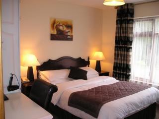Mountain View Guesthouse - Oughterard - 3