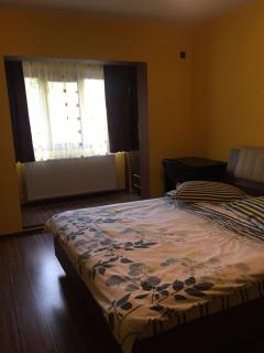 Cozy Park Studio in city center, Campina - Câmpina - 3