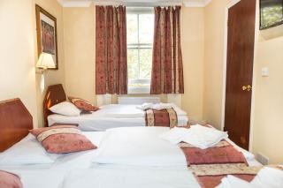 Dolphin Hotel - Londra - 2
