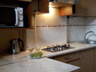 Flat on Sheptytskykh - Lviv - 1