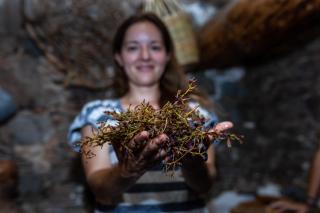 Hatzikyprianou Museum Studio - 6