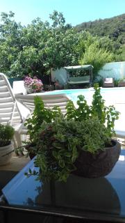 Apartments Gvacic - Rab - 5