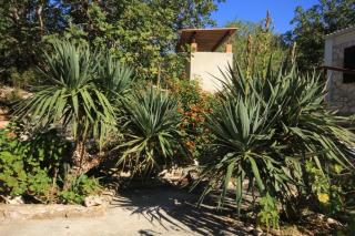 Seaside holiday house Cove Rogacic, Vis - 8889 - 2