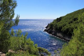 Secluded fisherman's cottage Cove Bratinja Luka, Korcula - 9224 - 1