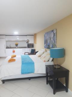 Spectacular Furnished Studio - Willemstad - 9