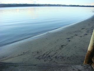 Harbourside Getaway - One Tree Point - 3