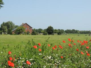 Schwalbenhof - Nordseeurlaub mit viel Natur und Ruhe - 0