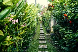 Lila Boutik Residence - 6