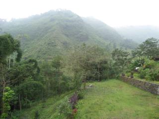 Km 31 Sujono Guesthouse - Bromo - 4