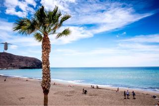 Don Cangrejo 1 - Gran Tarajal - 8