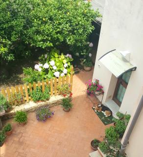Il Cortile di Dea - Arzachena - 0