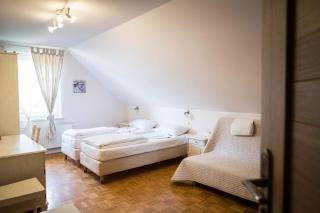Lavender - Restauracja i pokoje gościnne - Nowy Tomyśl - 5