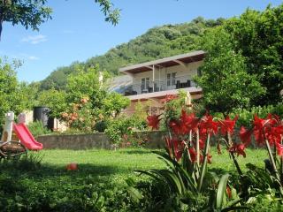 Apartments Đule - Donji Morinj - 6