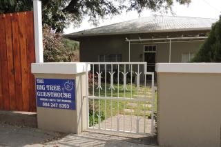 The Big Tree Guest House - Hopetown - 0