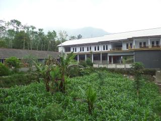 Km 31 Sujono Guesthouse - Bromo - 6
