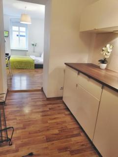 Studio Wiola Centrum - Katowice - 0